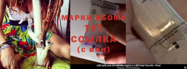 хмурый Тавда
