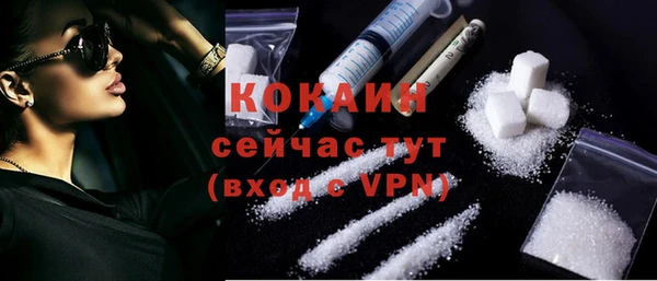 хмурый Тавда