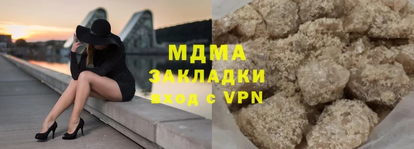 амф Тайга