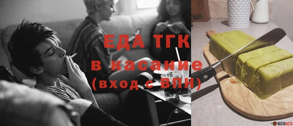 амф Тайга