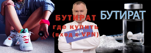 амф Тайга