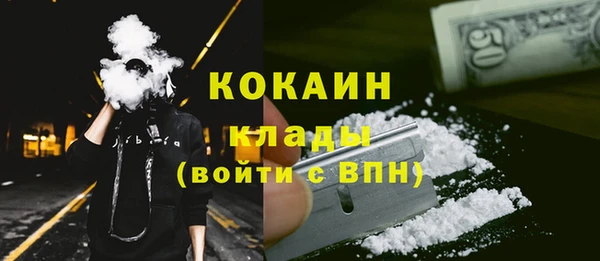 амф Тайга