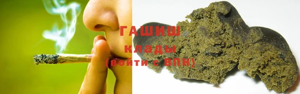 хмурый Тавда