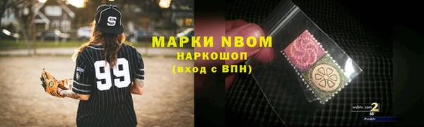 хмурый Тавда
