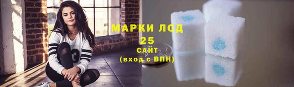 хмурый Тавда