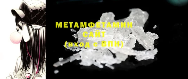 амф Тайга