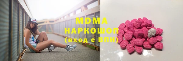 амф Тайга