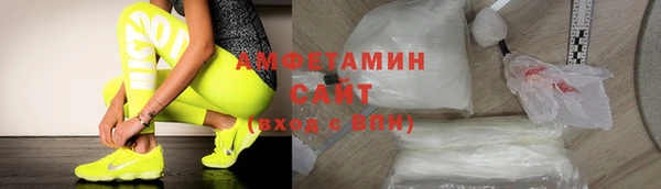 амф Тайга