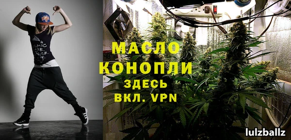 амф Тайга