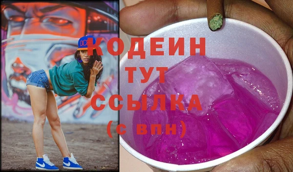амф Тайга