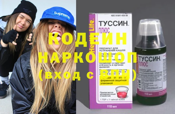 хмурый Тавда