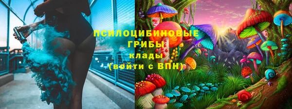 мдпв Сясьстрой