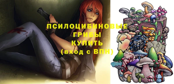 хмурый Тавда