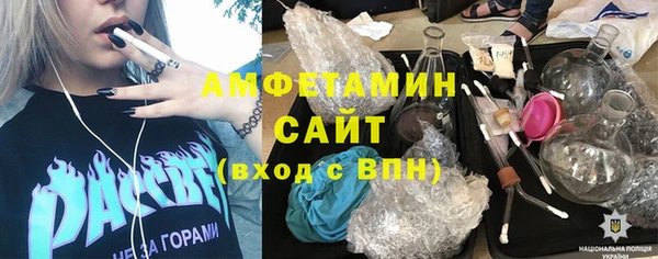 амф Тайга