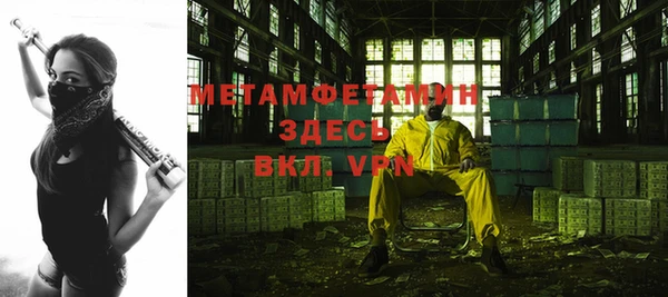 амф Тайга