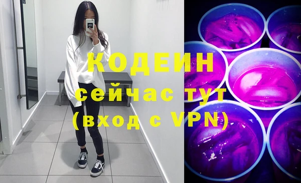 амф Тайга