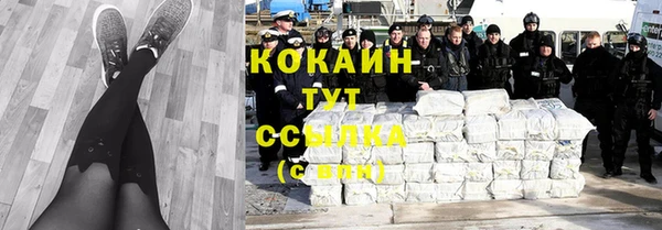 хмурый Тавда