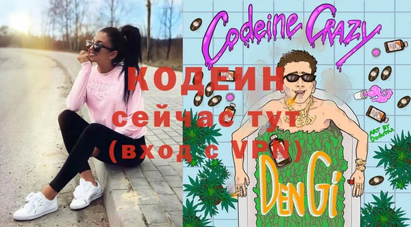 хмурый Тавда